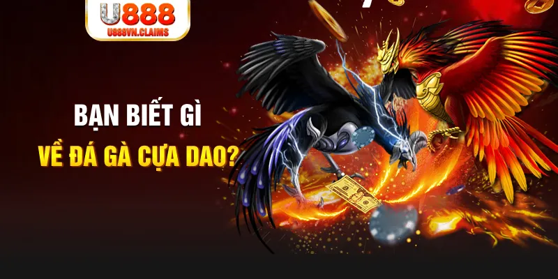 1133win SW Xổ Số