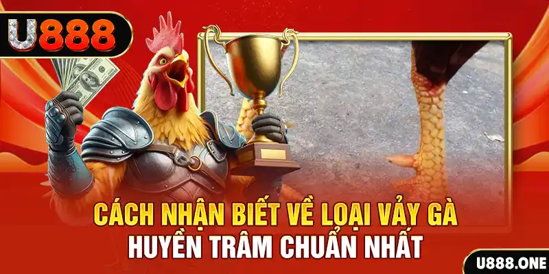 1133win đăng nhập nổ hũ số 1