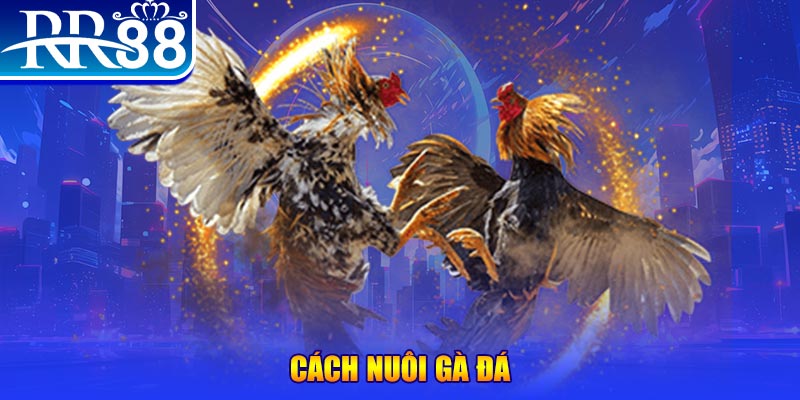 1133win đăng nhập phỏm đổi thưởng