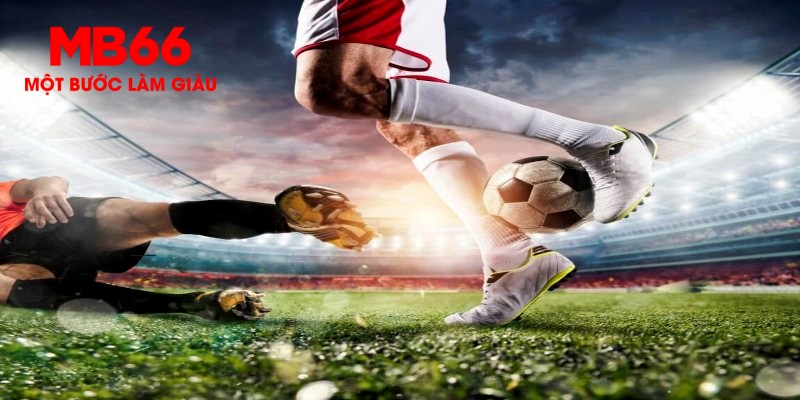 1133win trực tiếp đá gà thomo
