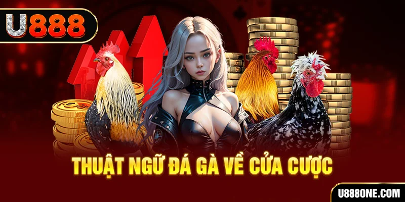 1133win hơn cả bạn bè