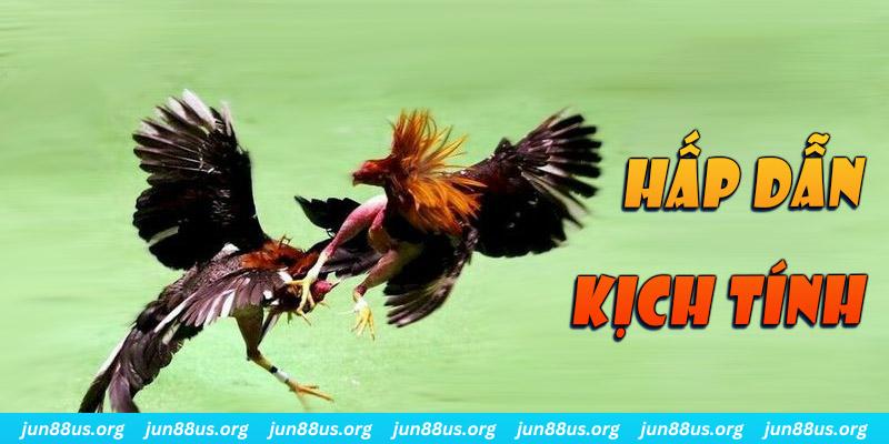 1133win đăng nhập roulette online