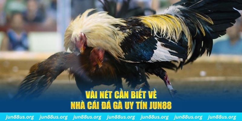 1133win đăng nhập phỏm khuyến mãi
