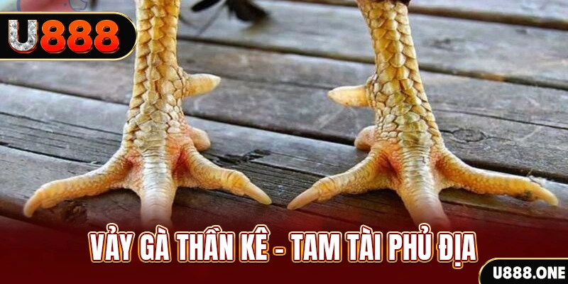 1133win xổ số miền trung thứ hai hàng tuần