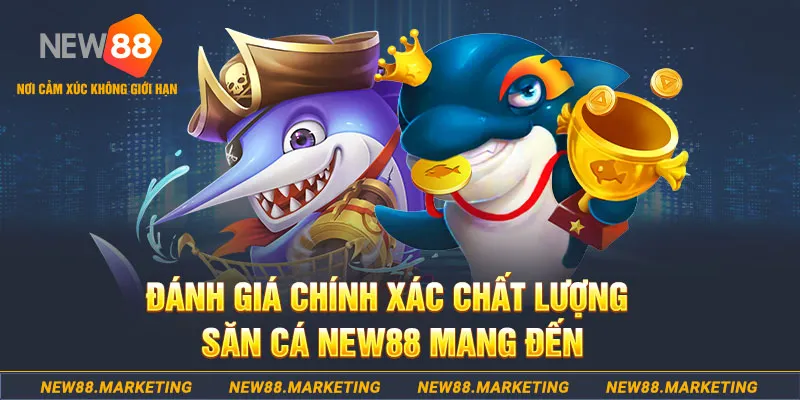 1133win đăng nhập mậu binh mới nhất