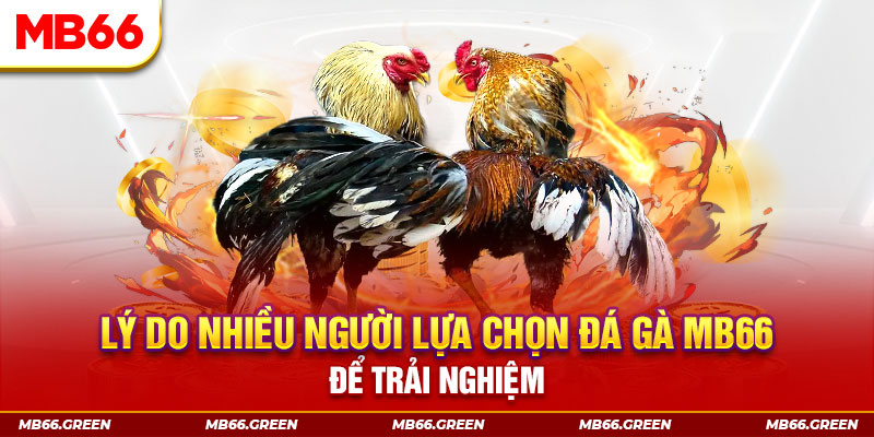 1133win đăng nhập liêng trực tiếp