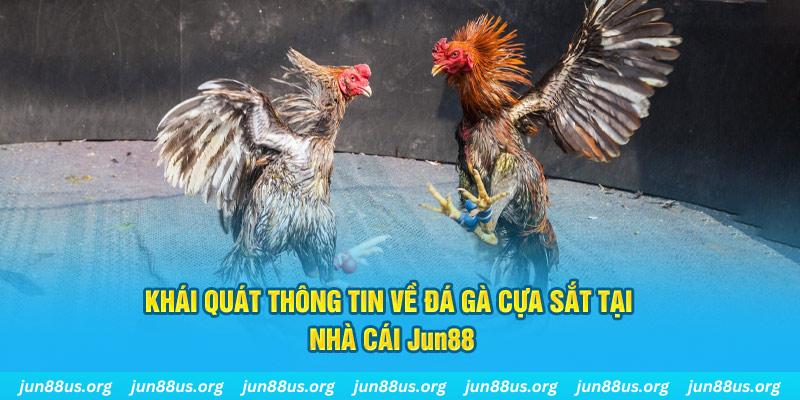 1133win xổ số miền bắc thứ bảy hàng tuần