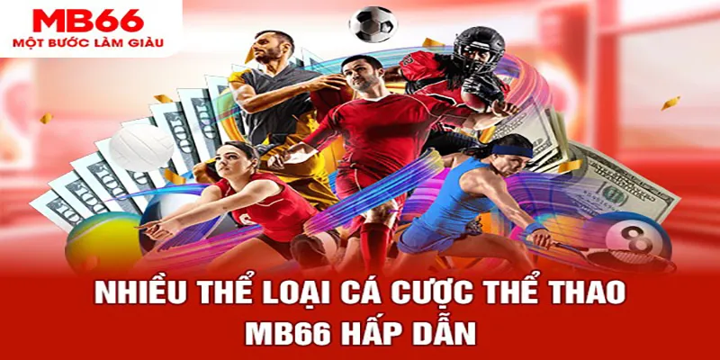 1133win đá gà thomo