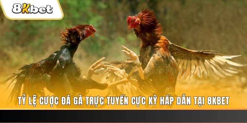 1133win đăng nhập mậu binh online