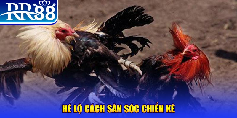 1133win xổ số miền trung thứ tư
