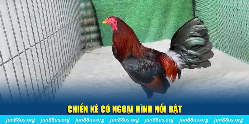 1133win game bắn cá