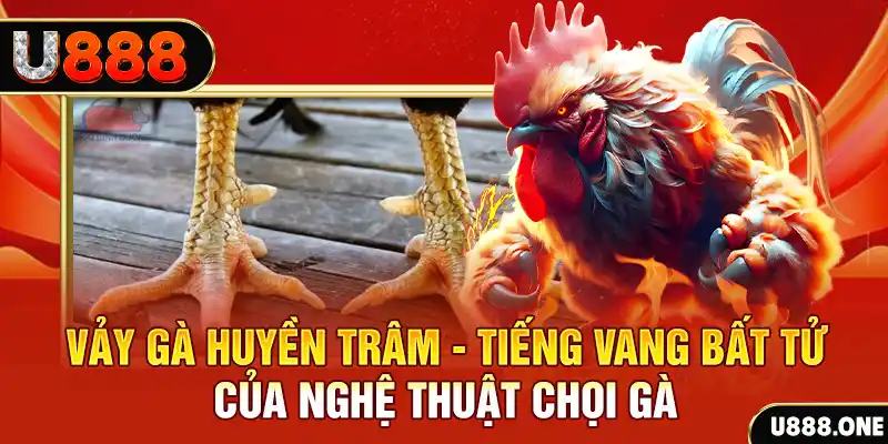 1133win đăng nhập roulette trực tuyến