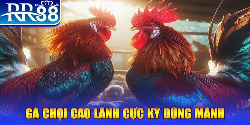 1133win HB Điện Tử